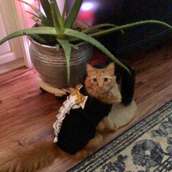 Meet your Posher, Jess - Picture 9 of 13